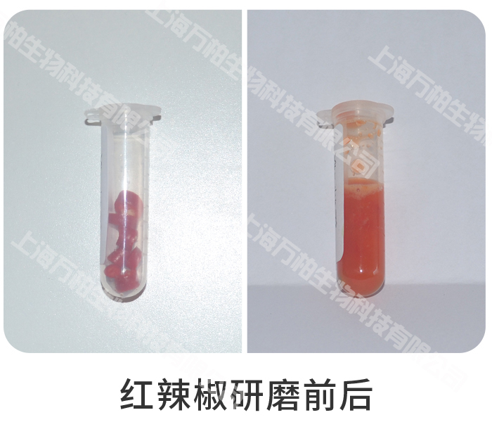 红辣椒研磨前后.jpg