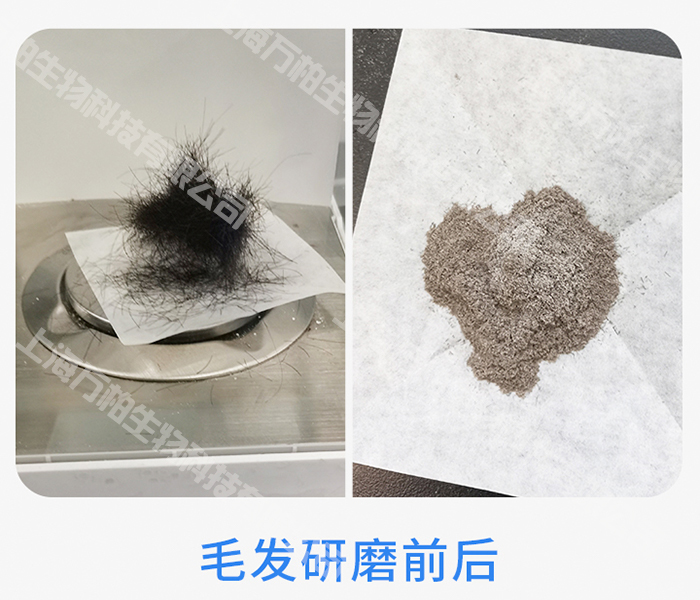 毛发研磨前后