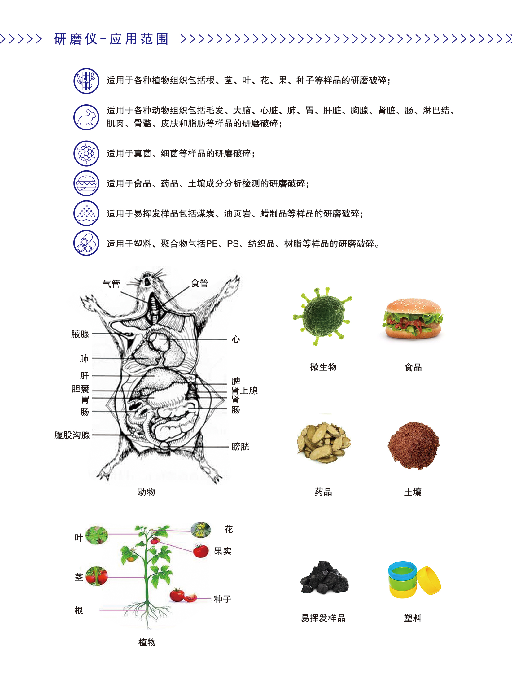 3-4_06.jpg 3-4_06.jpg