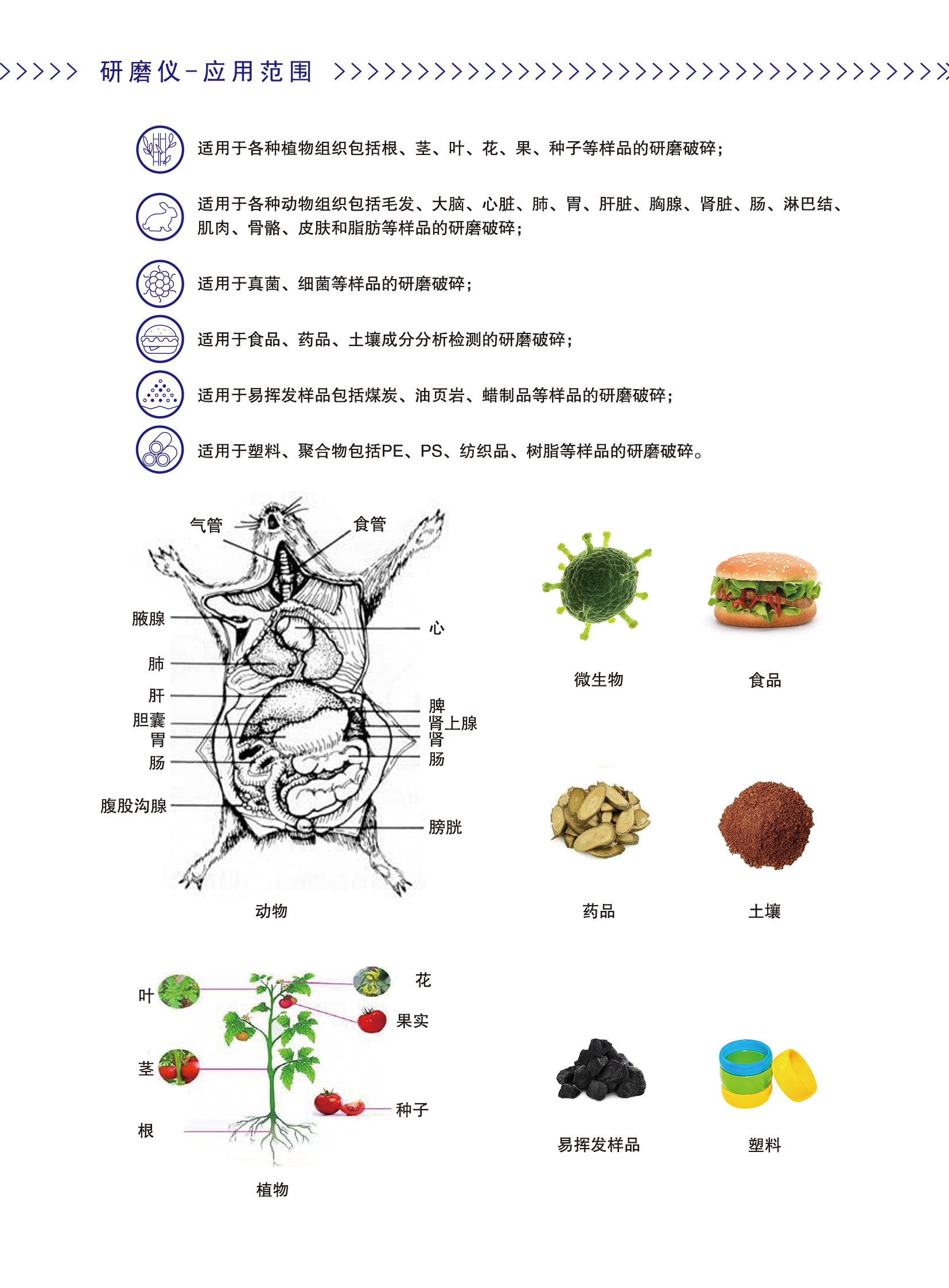 3-4_06.jpg 3-4_06.jpg