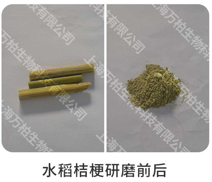 水稻桔梗研磨前后