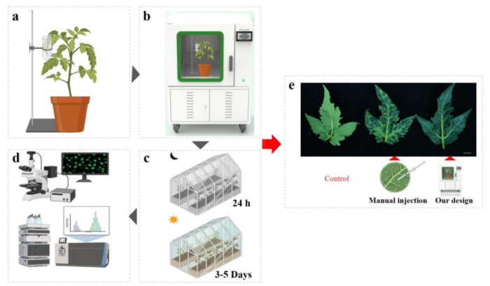 78f56e39e06b1d3feb130ed02287f506.png 78f56e39e06b1d3feb130ed02287f506.png