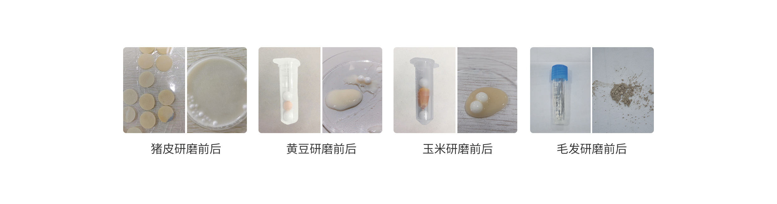 组织研磨均质离心仪H24-C.jpg 组织研磨均质离心仪H24-C.jpg