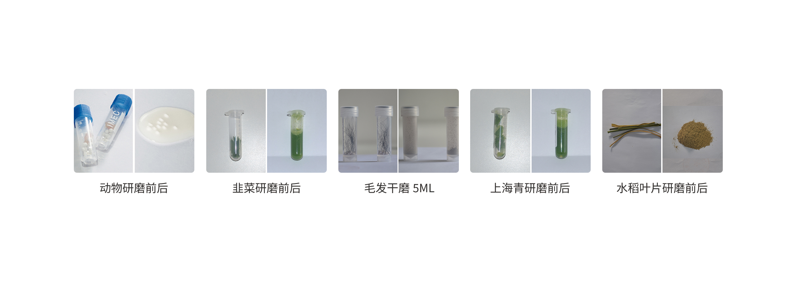冷冻的.jpg 冷冻的.jpg